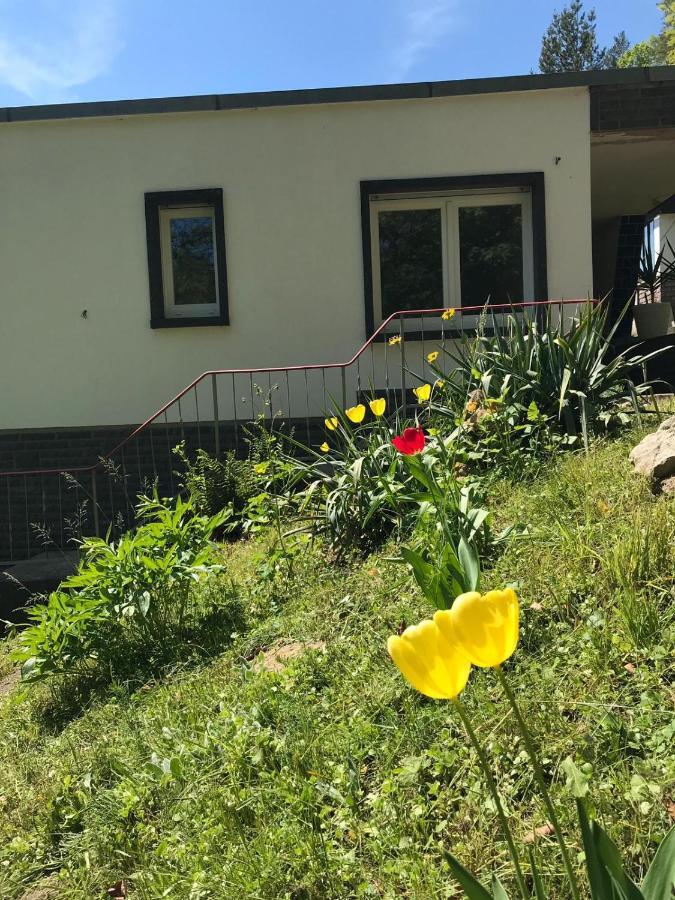 Ferienhaus Am Wald Wendehausen 外观 照片